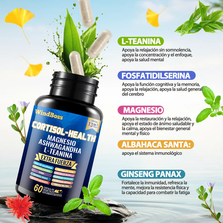 Windboss Balance Duo – Suplemento doble para energía, control hormonal y bienestar total 💜