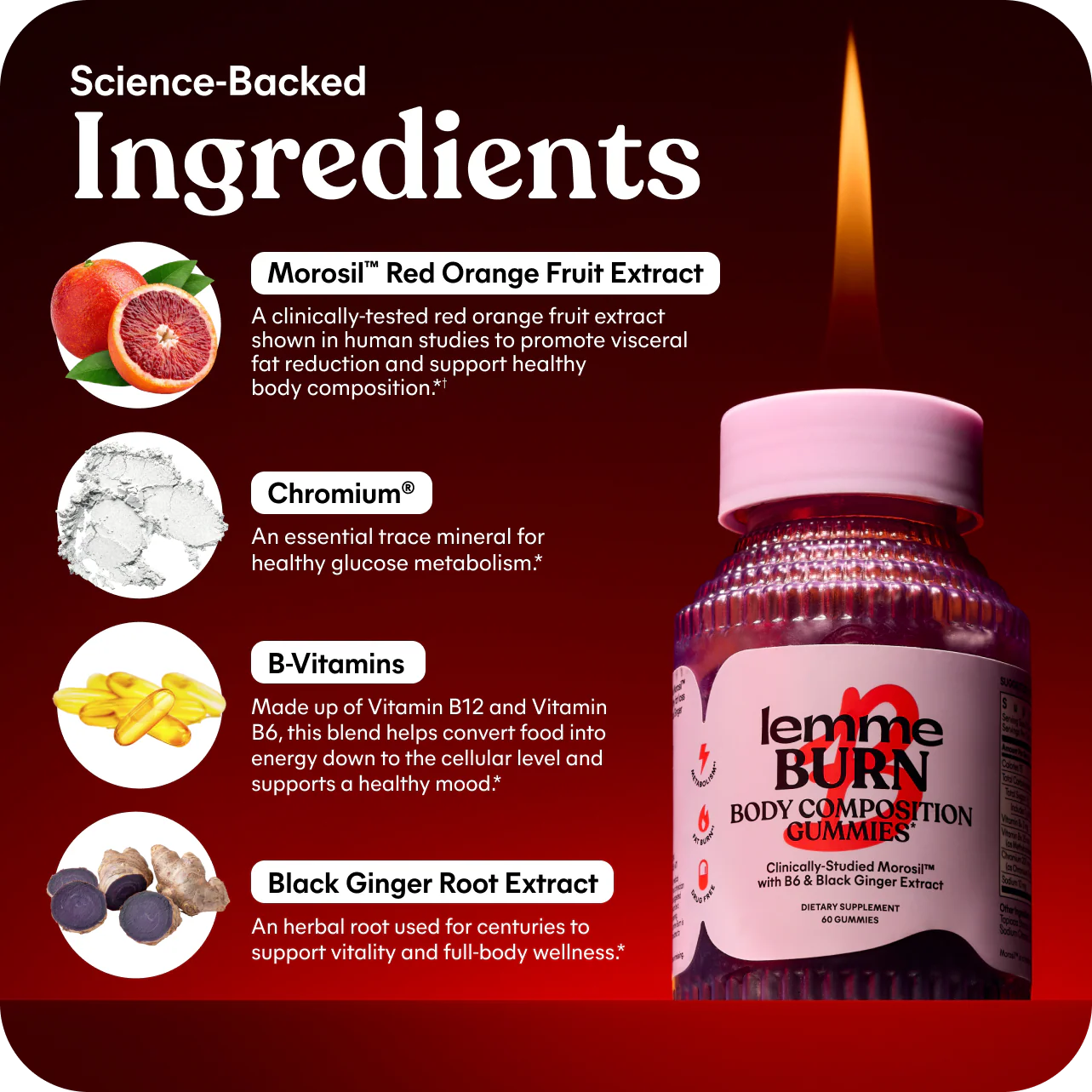 • LEMME BURN – Metabolism Booster