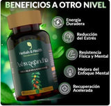 Ashwagandha Vital – Armonía para cuerpo y mente (60und)