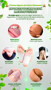 🌿 Parche Detox Itsuki Kenko – Renueva tu cuerpo mientras duermes