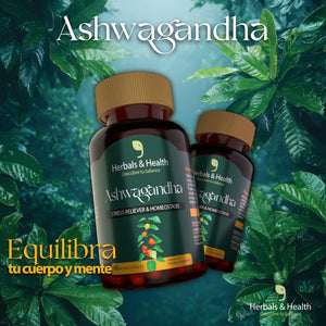 Ashwagandha Vital – Armonía para cuerpo y mente (60und)